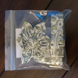 Dinasaur Dog Collar with Removable Flower | Aring Pet | Medium